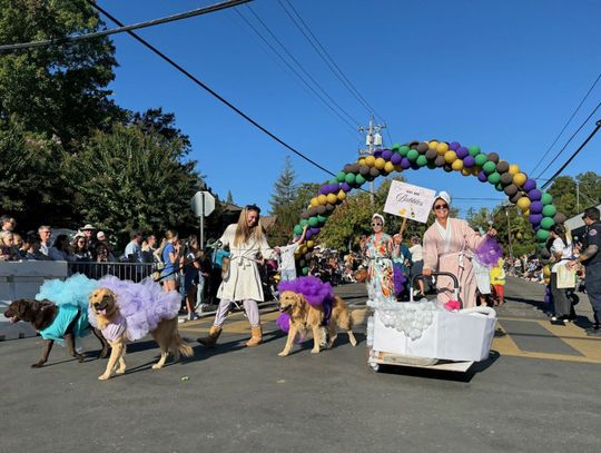 5 Events to Check Out This Fall