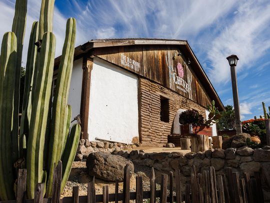 'Transported to Another Time'