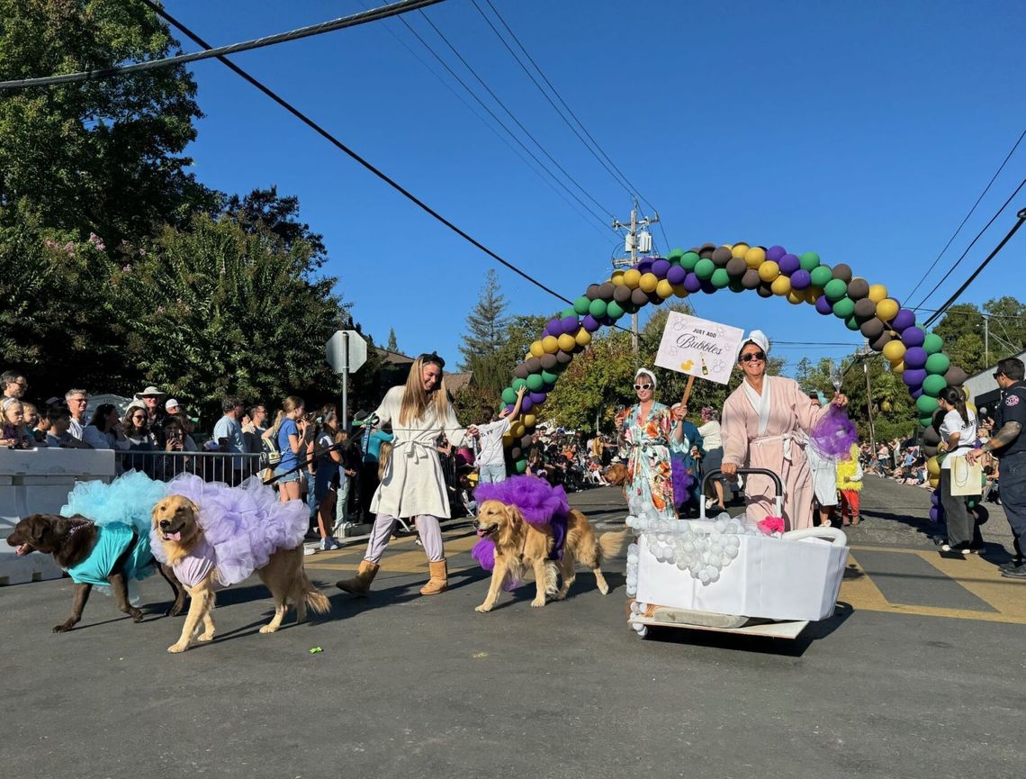 5 Events to Check Out This Fall