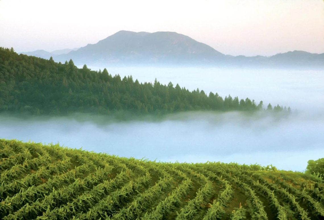 Wineries & Tasting Rooms